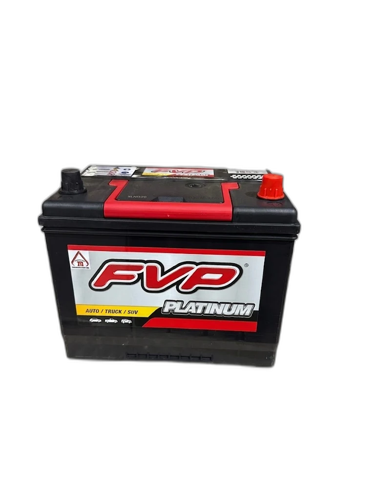 FVP 60Ah