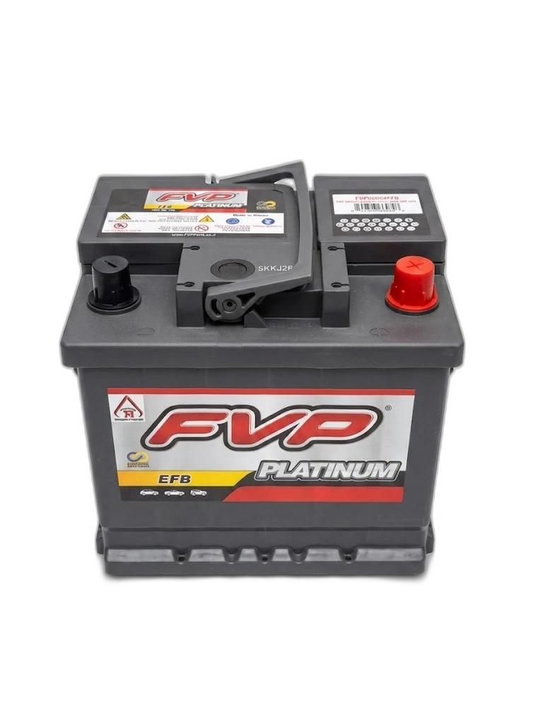 FVP 50Ah EFB