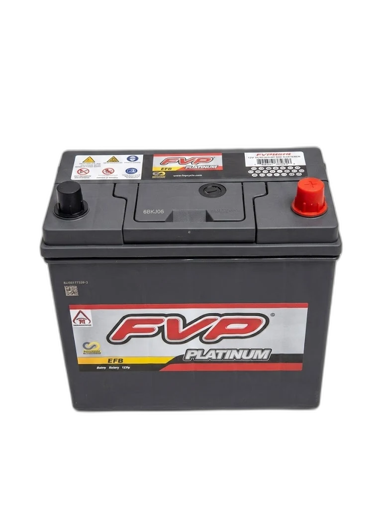 FVP 45Ah EFB